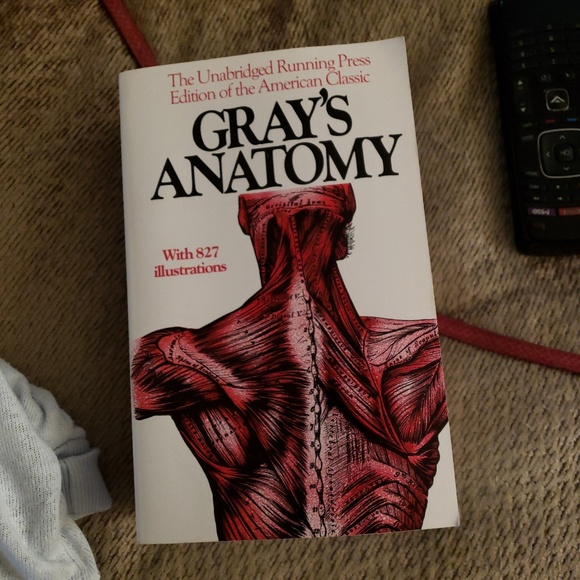 Meet your Posher, Gwen - Picture 3 of 8